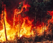 Sema intensifica ações de combate a queimadas em Mato Grosso