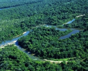 Recursos Naturais Da Amazonia (4)