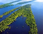 Recursos Naturais Da Amazonia (6)