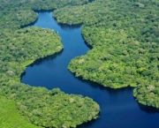 Recursos Naturais Da Amazonia (8)