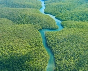 Recursos Naturais Da Amazonia (9)