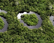 Recursos Naturais Da Amazonia (12)
