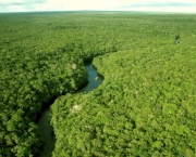 Recursos Naturais Da Amazonia (13)