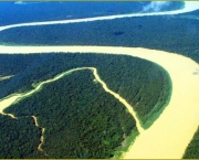 Recursos Naturais Da Amazonia (15)