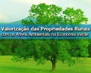 regulamento-de-ativos-ambientais-no-brasil-1