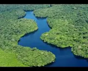 Rio Amazonas (2)