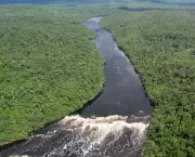 Rio Amazonas (3)