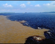 rios-importantes-no-brasil-15