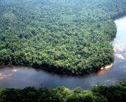 rios-importantes-no-brasil-9