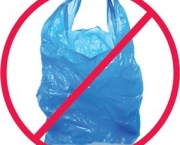 sacolas-plasticas-nao-serao-mais-distribuidas-3