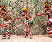 terras-indigenas-tribos-do-xingu-1