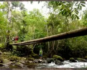 trekking-ecologico-significado-e-dicas-uteis-3