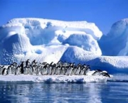 turismo-na-antartida-1