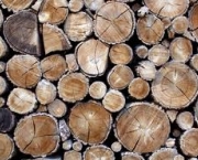 vantagens-reciclagem-da-madeira-1