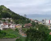 vegetacao-da-regiao-sul-brasileira-15