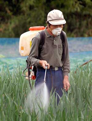 Resultado de imagem para quimicos e pesticidas