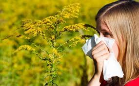 Algumas plantas podem causar alergia