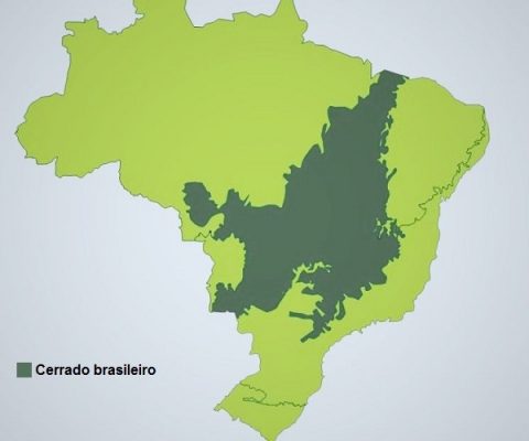 Mapa do Cerrado Brasileiro