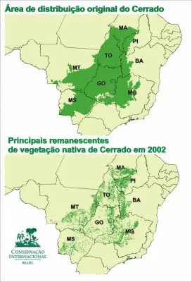 Mapa do Desmatamento do Cerrado