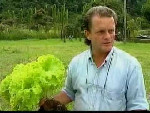 Vídeos sobre Agricultura