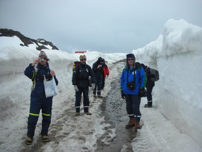 Turismo Na Antartica
