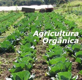 Objetivos da Agricultura Orgânica