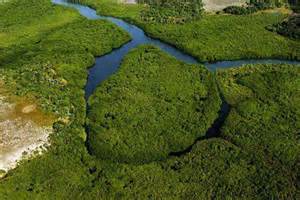 Impacto Ambiental das Hidrelétricas da Amazônia