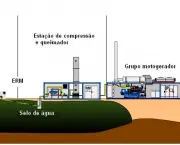 biogases-futura-fonte-de-energia-1