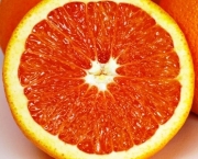 como-cultivar-laranja-2