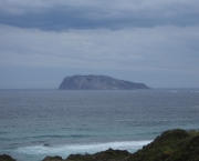 ilhas-chatham-rumo-a-nova-zelandia-2