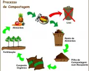os-tipos-de-compostagem-4