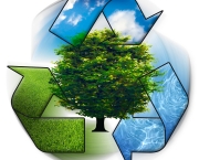 empresas-e-programas-educacionais-para-reciclar-3