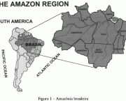 o-complexo-regional-da-amazonia-1