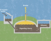 biogases-futura-fonte-de-energia-5