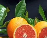 como-cultivar-laranja-4