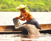 pesca-profissional-comercial-e-sustentabilidade-4