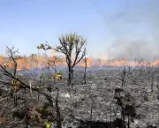 queimadas-naturais-impacto-ambiental-do-solo-3