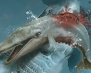 o-que-fazer-para-diminuir-extincao-dos-tubaroes-3