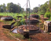 biogases-futura-fonte-de-energia-8