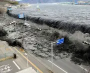 historia-dos-tsunamis-7