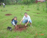 plantar-arvores-e-essencial-para-restaurar-ecossistemas-florestais-1