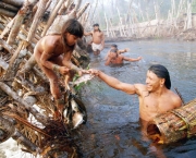 O YaÃµkwÃ¡, ritual mais longo dos Ã­ndios EnawenÃª NawÃª (Terra IndÃ­gena EnawenÃª NawÃª, MT), dura 7 meses e cumpre a obrigaÃ§Ã£o de saciar a sede e a fome dos espÃ­ritos.