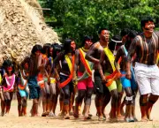 terras-indigenas-no-brasil-de-10-a-0-3