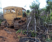 desmatamento-extracao-ilegal-da-madeira-1