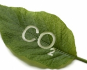 o-carbono-e-a-amazonia-3