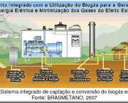 biogases-futura-fonte-de-energia-11