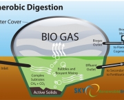 biogases-futura-fonte-de-energia-12