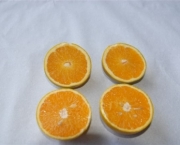 como-cultivar-laranja-12