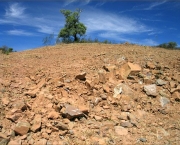 comissao-nacional-de-combate-a-desertificacao-5