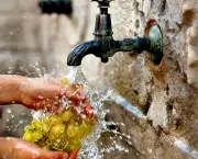 reduzir-o-consumo-de-agua-nas-areas-externas-da-casa-e-na-hora-de-lavar-o-carro-3